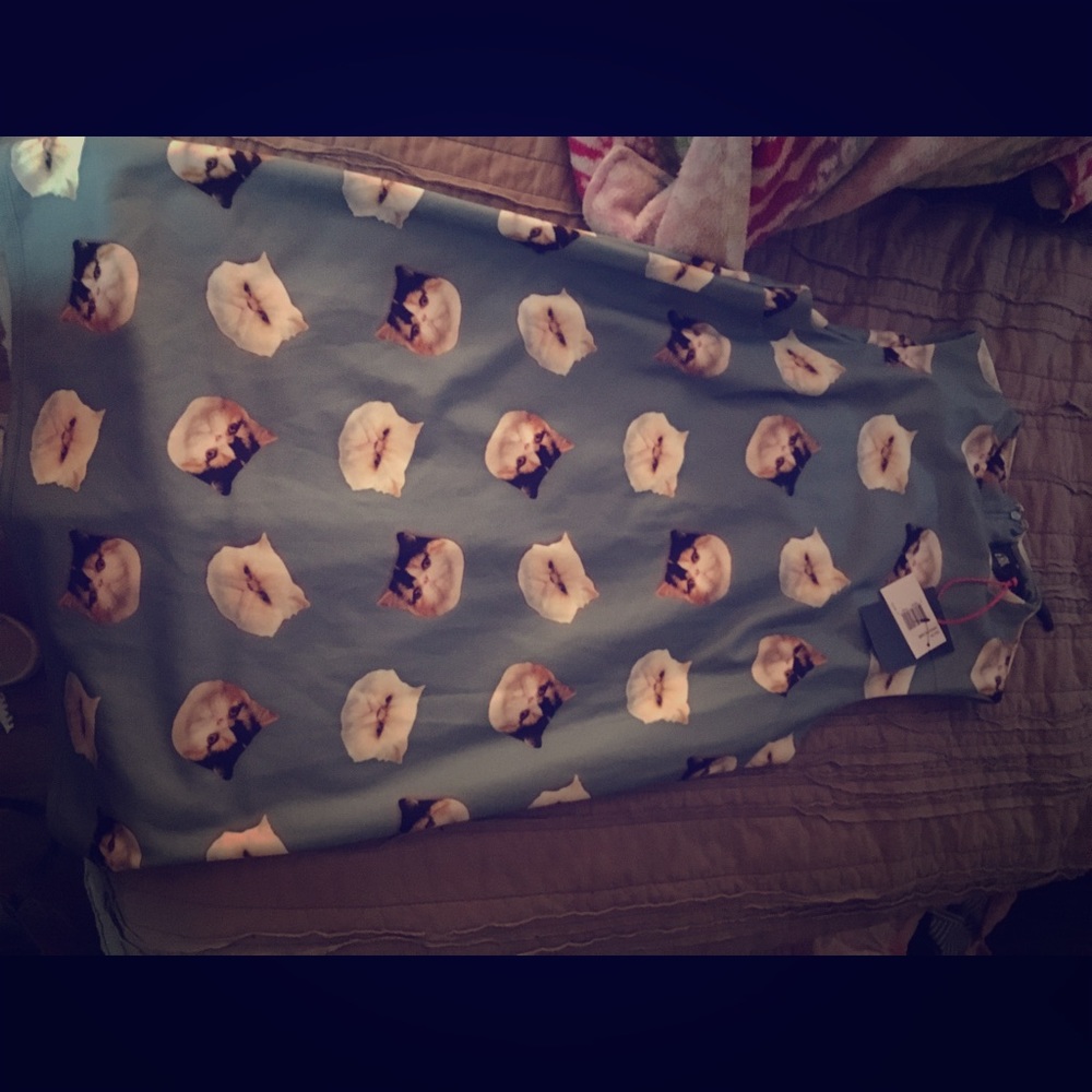 Eric and lani cat dress